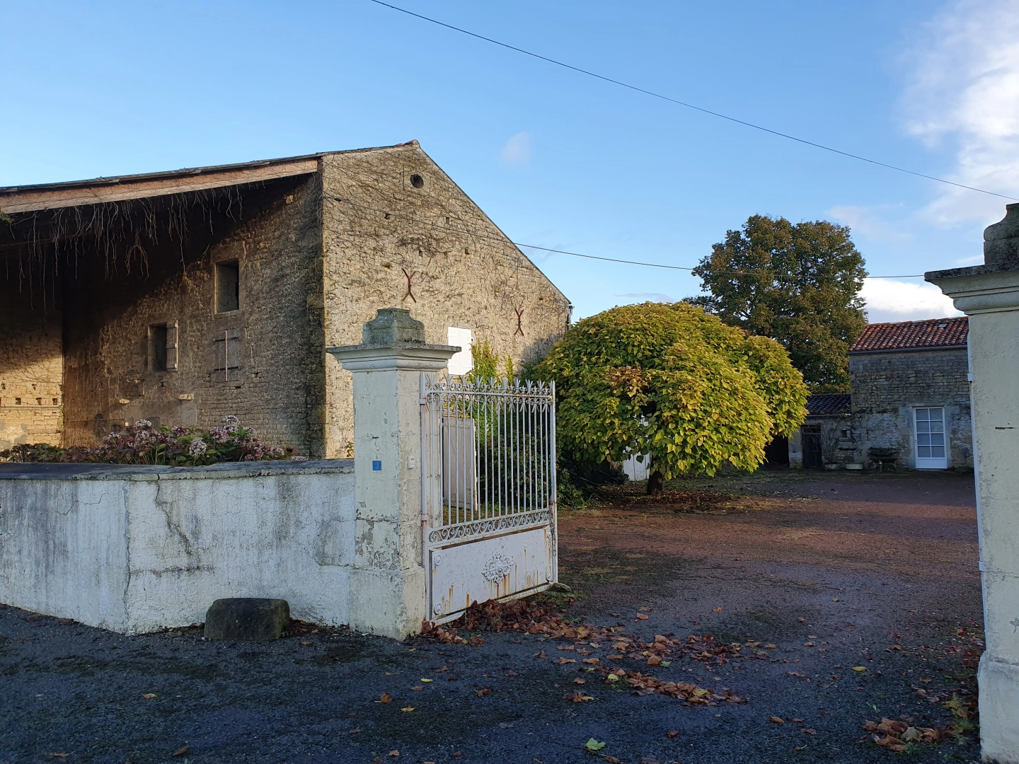 property